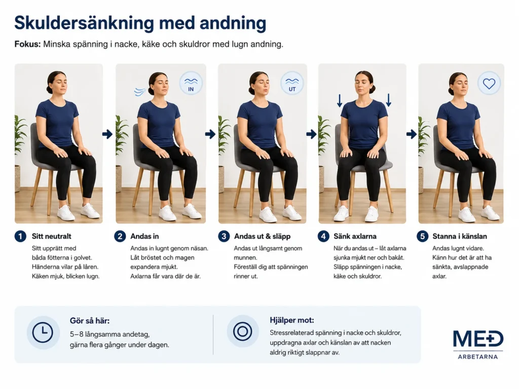 Skuldersänkning med lugn andning för uppdragna axlar och nackspänningar vid kontorsarbete.